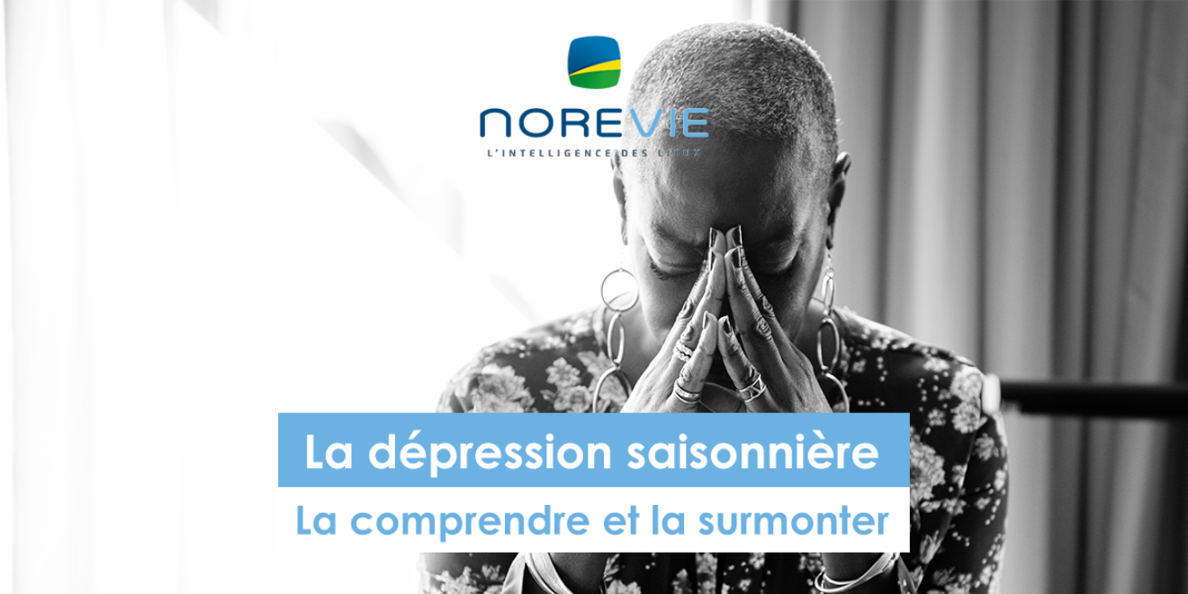 Dépression saisonnière la comprendre et la surmonte NOREVIE — free download